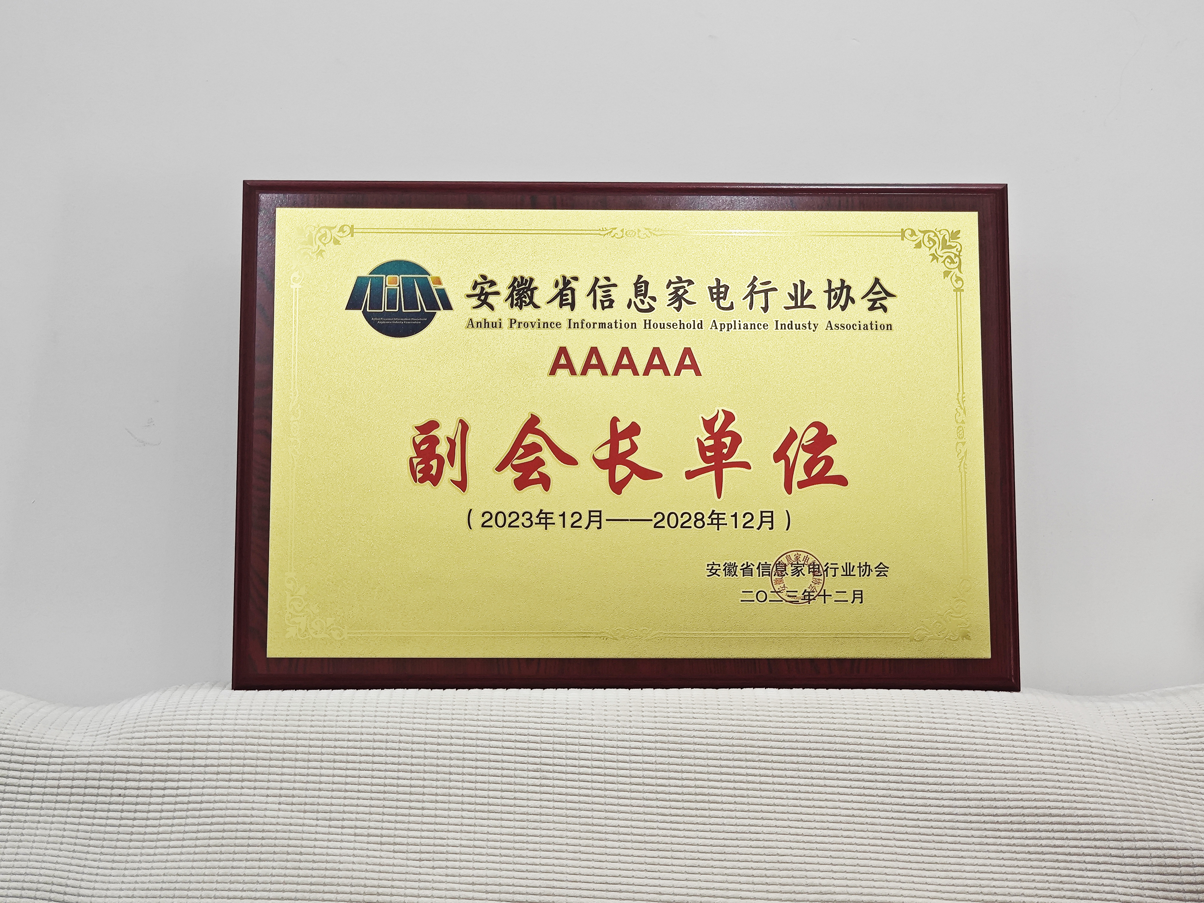 艾創微(wēi)當選安徽省信息家(jiā)電(diàn)行(xíng)業(yè)協會(huì)第四屆副會(huì)長(cháng)單位