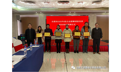 熱(rè)烈祝賀公司獲評“合肥市(shì)2020年(nián)度企業(yè)薪酬調查優質樣本單位”榮譽稱号